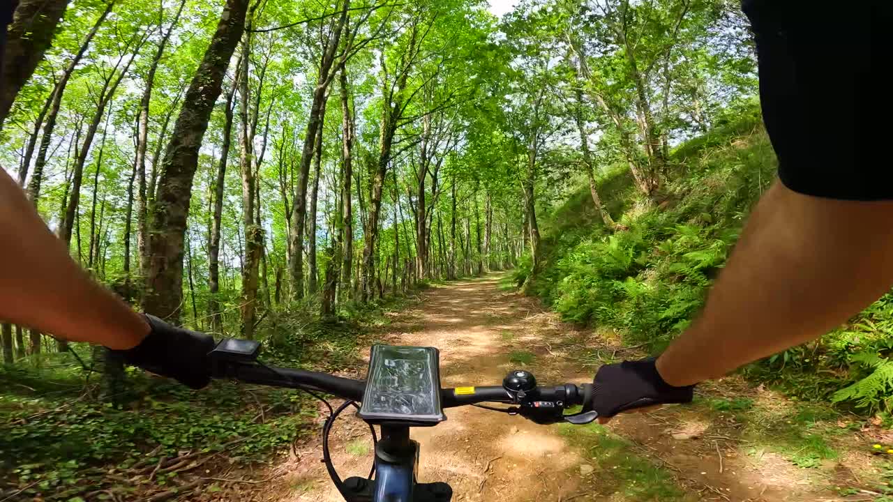 Mountain Biking on a Forest Trail