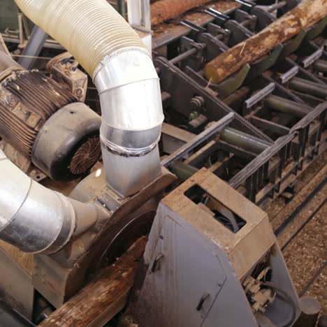 power-saw bench. process of cutting logs at woodworking plant. modernized technology on a sawmill. top view.
