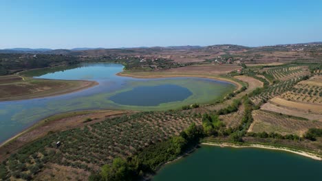 Belsh-Lakes:-A-Destination-for-Fishing-and-Water-Sports-Enthusiasts,-Tranquil-Water-Ponds-Nestled-Amidst-Olive-Covered-Hills