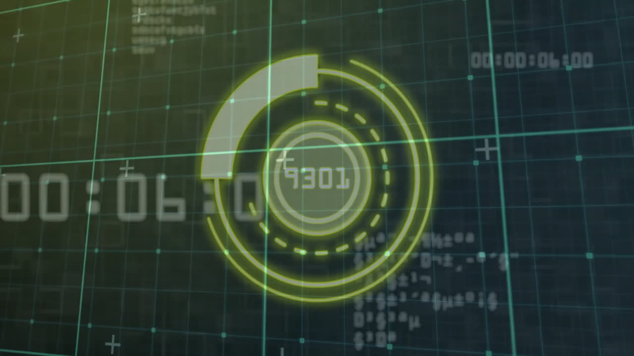 animación de la red de conexiones a través del procesamiento de datos