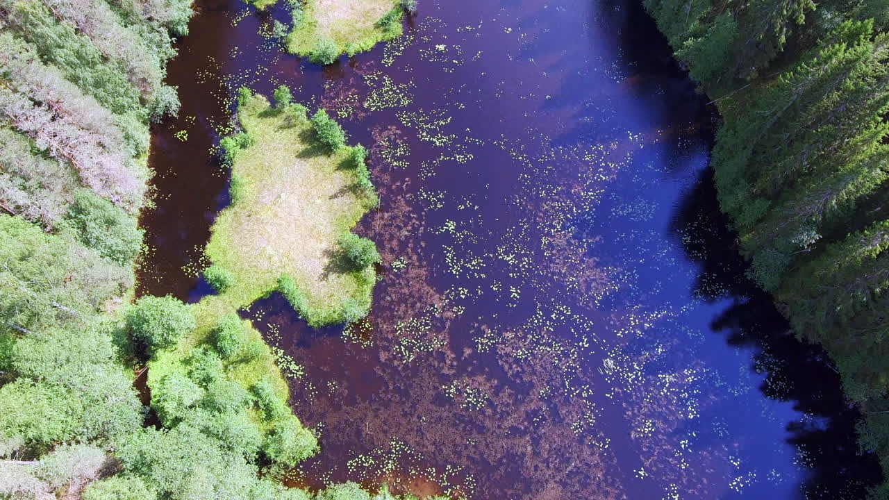 hermosa vista de drones de un sereno desierto finlandés, bosque de coníferas y lago cristalino