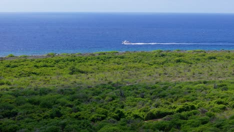 un barco de buceo conduce frente a la costa de curaçao, una isla caribeña de impresionante belleza y aventura.