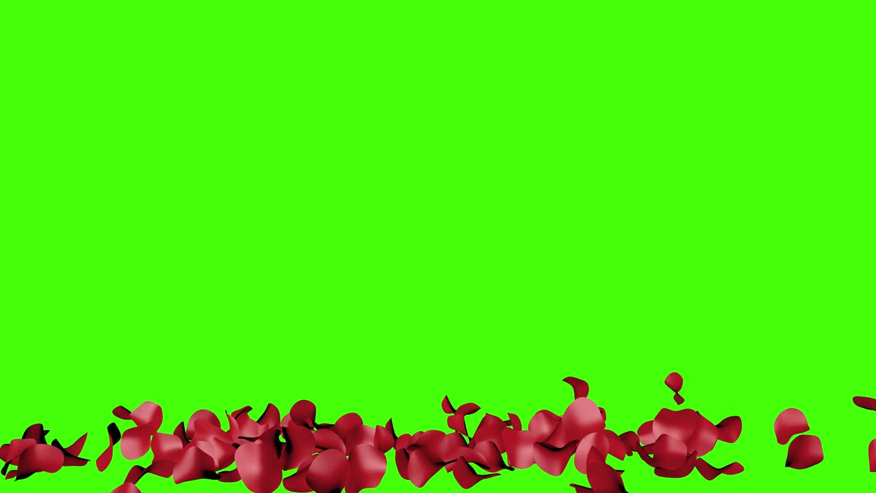 녹색 화면에서 장미 잎자루 그룹 애니메이션 크로마 키, 그래픽 소스 디자인 요소