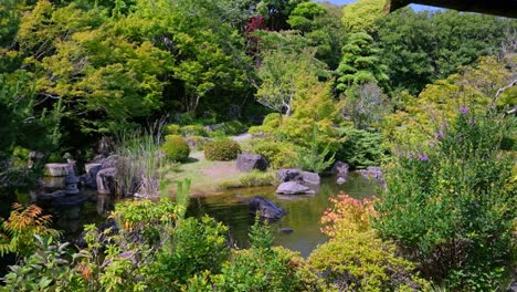 a serene japanese garden with a pond and lush green foliage