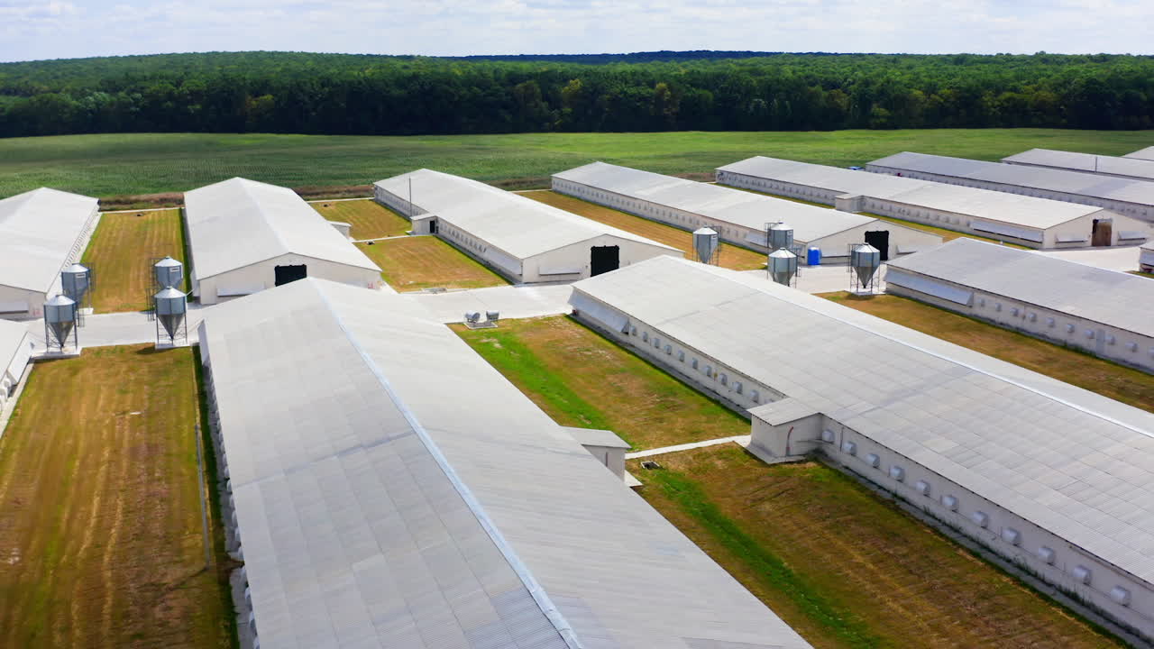 Long farm buildings in nature environment. Flight over many white agriculture farm houses on field. Modern warehouses and livestock farms.