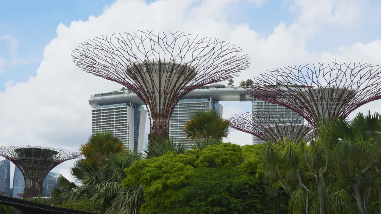 Panorama dell'iconico Supertree Grove ai Gardens by the Bay, con il Marina Bay Sands visibile sullo sfondo a Singapore