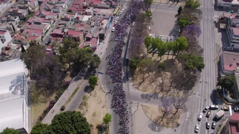 drone video of the womans day march in mexico