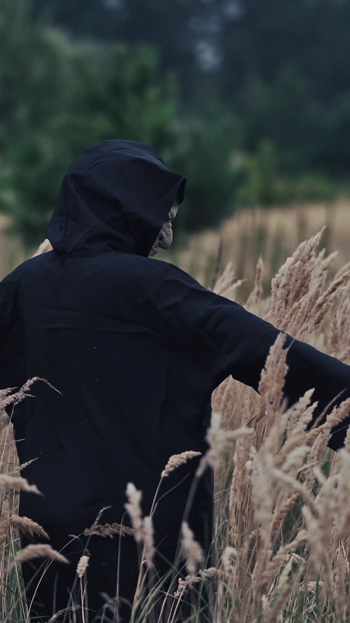 Scary black figure on a wheat field. Terrible ghost in dark mantle with hood looking at camera and turning around on nature evening background. Horror concept. Vertical video