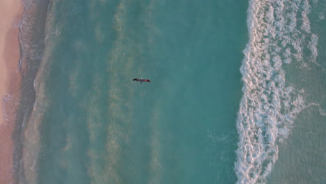 Aerial-Tracking-shot-of-a-pelican-bird-flying-over-rolling-waves-in-a-crystal-clear-ocean-with-white-sands-in-Cancun,-Mexico