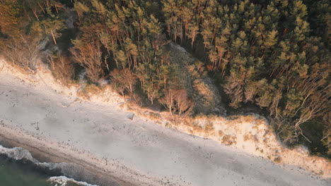 capturing a sandy beach bathed in low-angle sunlight, with sea waves splashing and a forested bank area, situated along the baltic sea