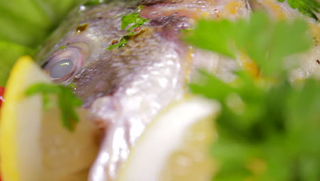 cooked bream fish ready to be served, with parsley and lemon