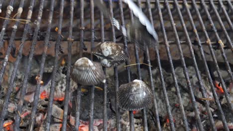 las almejas de sangre cocinan a la parrilla en carbón caliente en un restaurante de mariscos