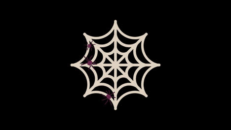 spider-on-spider-web-moving-motion-graphics-video-transparent-background-with-alpha-channel