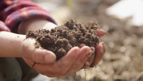 closeup reveal - a child lifts a handful of compost into frame and inspects it