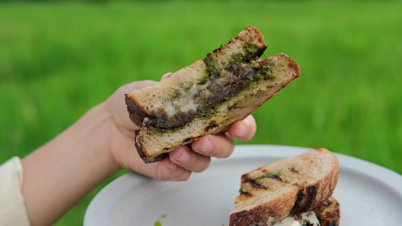 Nærbilde av deilige grillede sandwichskiver, smeltet ost og pestosaus, hurtigmat på pikniken. Småspising på parkplenen med takeaway-mat i byen