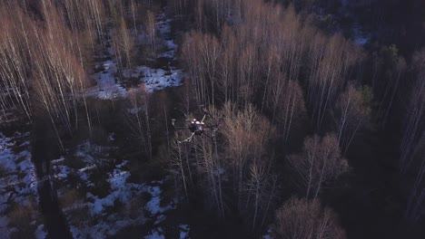 drohne fliegt über einen winterwald