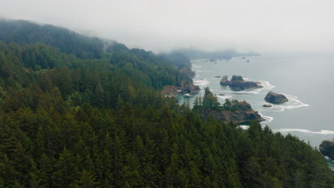 foggy coastal landscape with sea stacks and forested cliffs