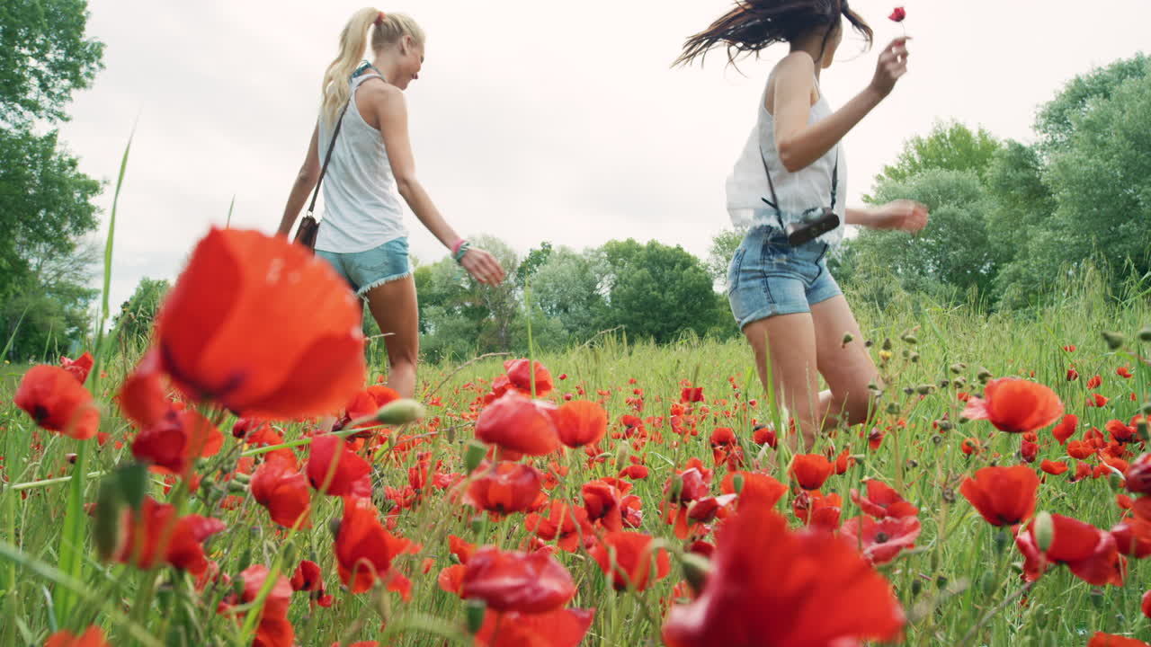 если ты любишь природу, ты найдешь красоту везде.