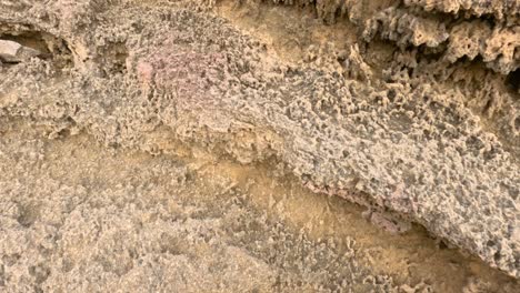 close-up of weathered rock surface in melbourne