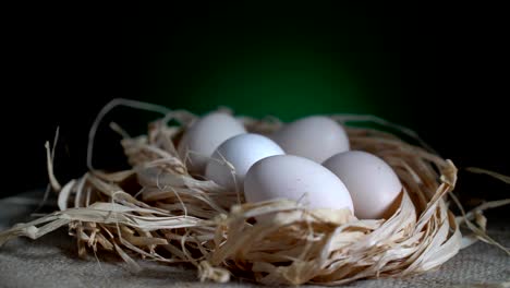 5 huevos que se vuelven en bucle