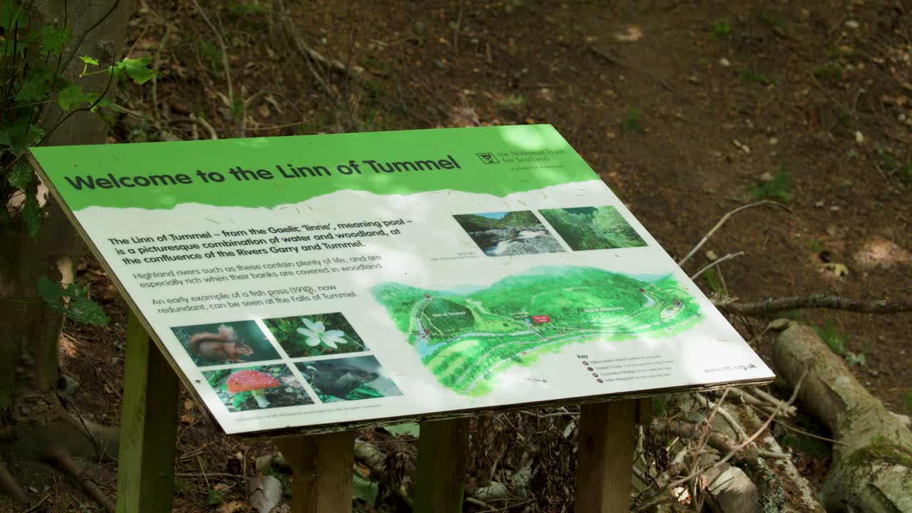 Static shot of educational sign in woodland, natural daylight, minimal camera movement, tranquil atmosphere
