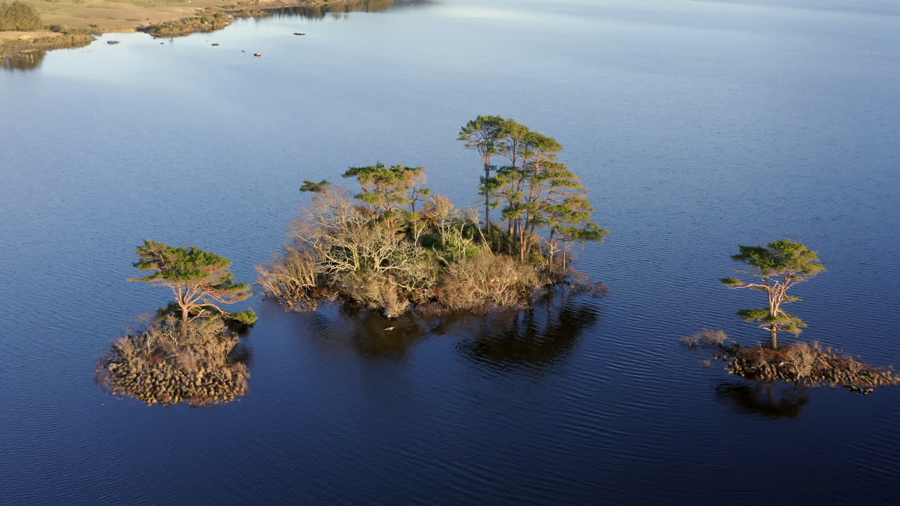 Aerial drone orbit of raised island in Lough Bofin, foliage contrasting against the calm lake waters at golden hour sunrise, Connemara, Galway, Ireland
