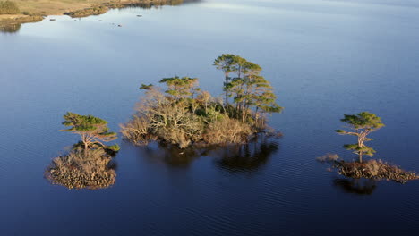 Aerial drone orbit of raised island in Lough Bofin, foliage contrasting against the calm lake waters at golden hour sunrise, Connemara, Galway, Ireland