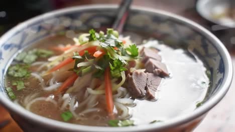 delicious noodle soup