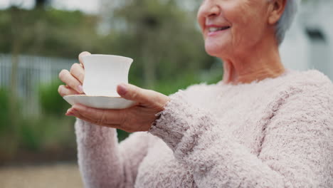 Betreuer,-Rentner-Und-ältere-Frau-Mit-Tee