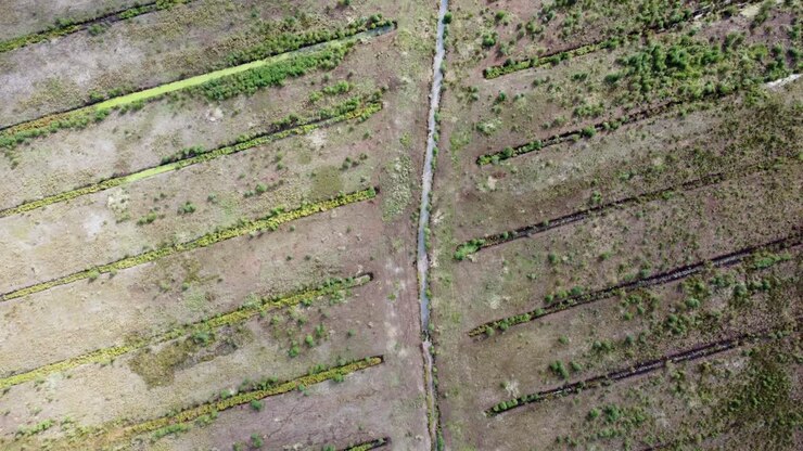 Restoration after extraction of raw materials. Aerial