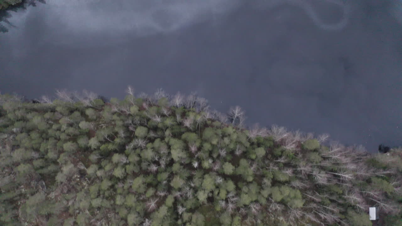 숲 한가운데의 호수의 드론 뷰