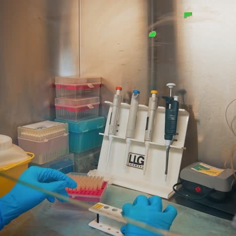 laboratory technician tools for taking sample. young female doctor checks quality of collection tube