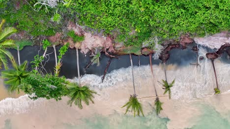 Malerische-Palmen-In-Trancoso,-Bahia,-Brasilien