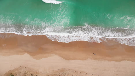 aerial view ascending top down of beautiful beach with white sand and foaming waves crushing against coast line. man walking on the beach. saler beach, valencia, spain