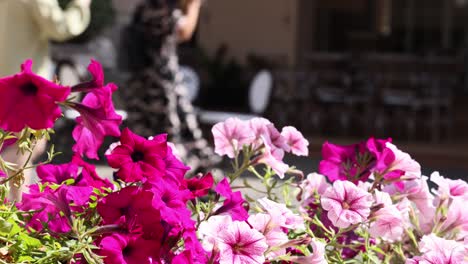 personas caminando detrás de flores rosadas y blancas vibrantes