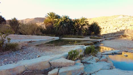 a river in the middle of the sahara desert algeria biskra