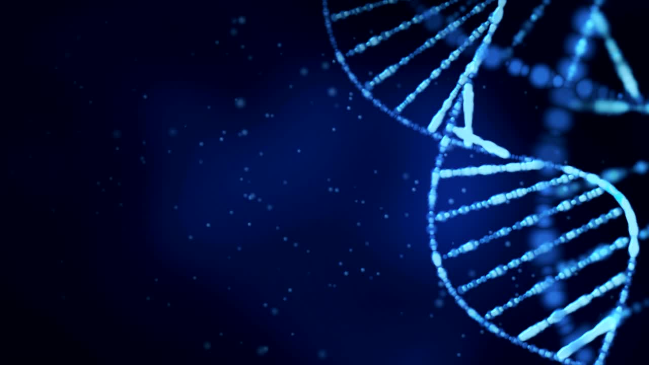 estructura del adn (bucle)