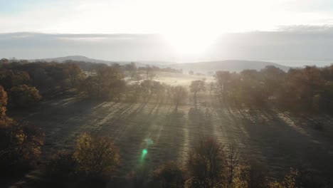 Konzeptioneller-Schuss,-Der-In-Richtung-Sonne-Fliegt,-Während-Bäume-Schatten-Werfen