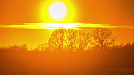 bright yellow sunset time lapse over the silhouette of the forest trees in winter