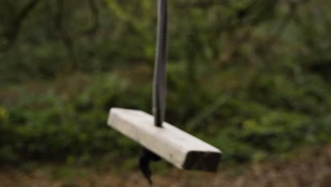 a block of wood swing hanging on the forest trees in shallow depth of field