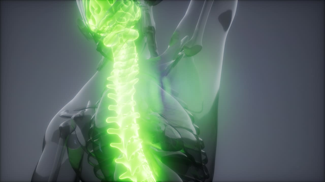 dolor de espalda en los huesos de la espalda