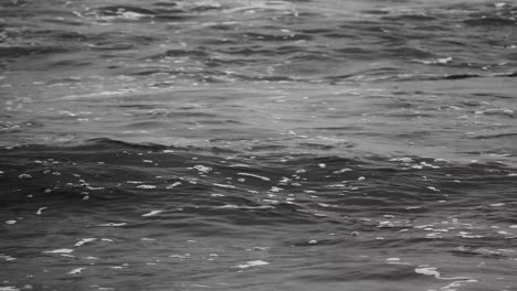 Oscura-Y-Agitada-Espuma-Cubrió-Olas-Del-Mar-En-Blanco-Y-Negro,-El-Océano-Índico,-Kuakata,-Bangladesh