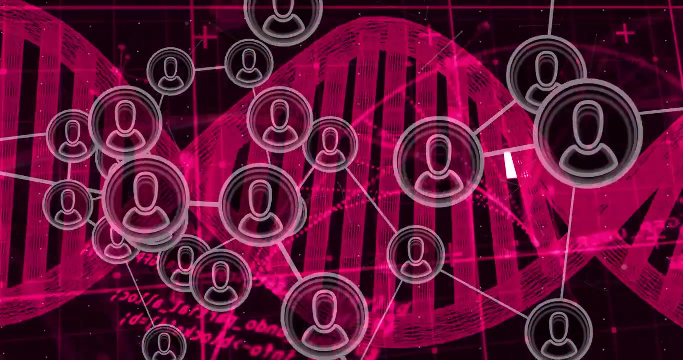 Rotating DNA helix triggers 3D network nodes emerging and connecting for visualizing user links