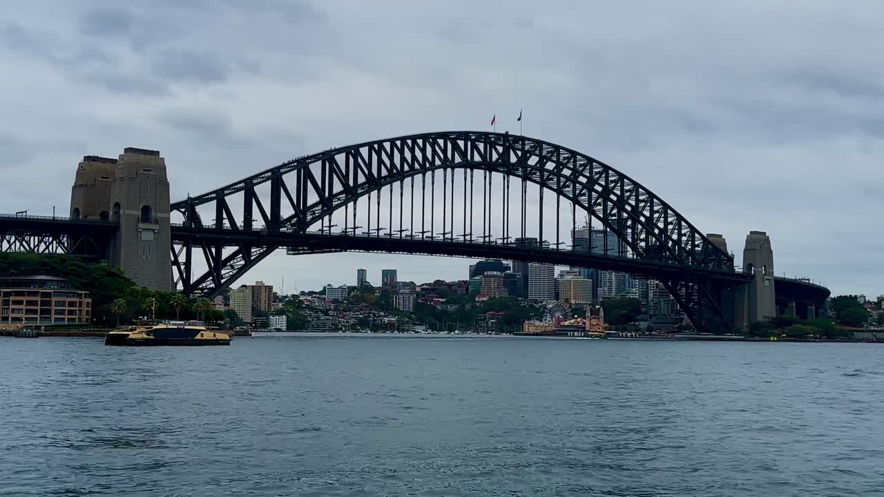 Sydney Harbour Bridge seagull fly past NSW Australia Port Jackson Bay overcast