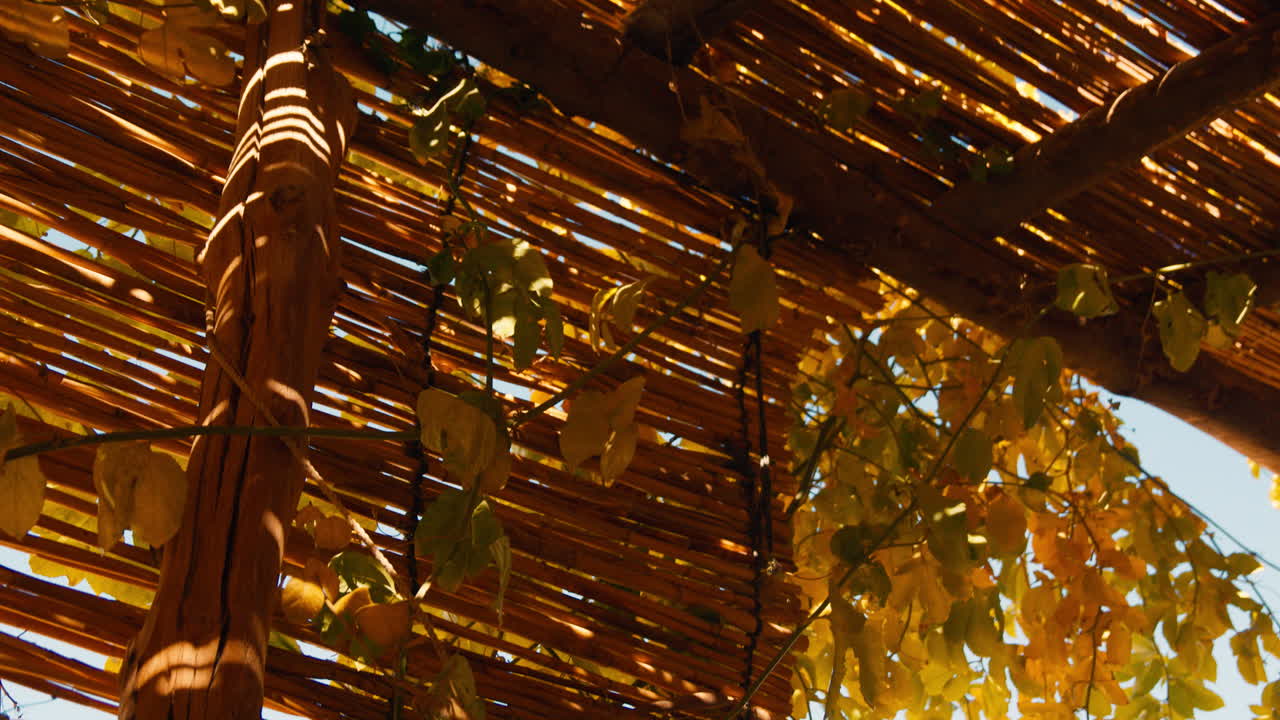 시와 오아시스 (siwa oasis) 의 건물의 나무 지붕의 세부 사항, 카타라 침체 및 서쪽 사막의 큰 모래 바다.