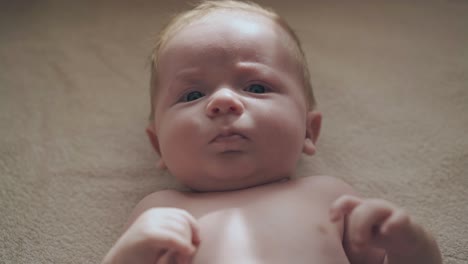 adorable hijo recién nacido con mejillas lindas y cabello blanco corto