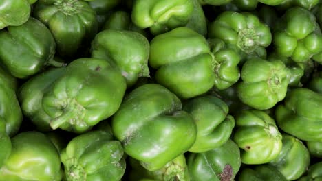 pimiento verde orgánico fresco de la granja de cerca desde un ángulo diferente