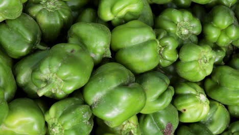 fresh organic green capsicum from farm close up from different angle