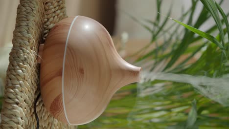 Aromatherapy Humidifier with Natural Wood Design
