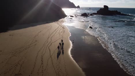 un grupo de surfistas y un perro caminando por la playa durante la puesta de sol en algarve, portugal